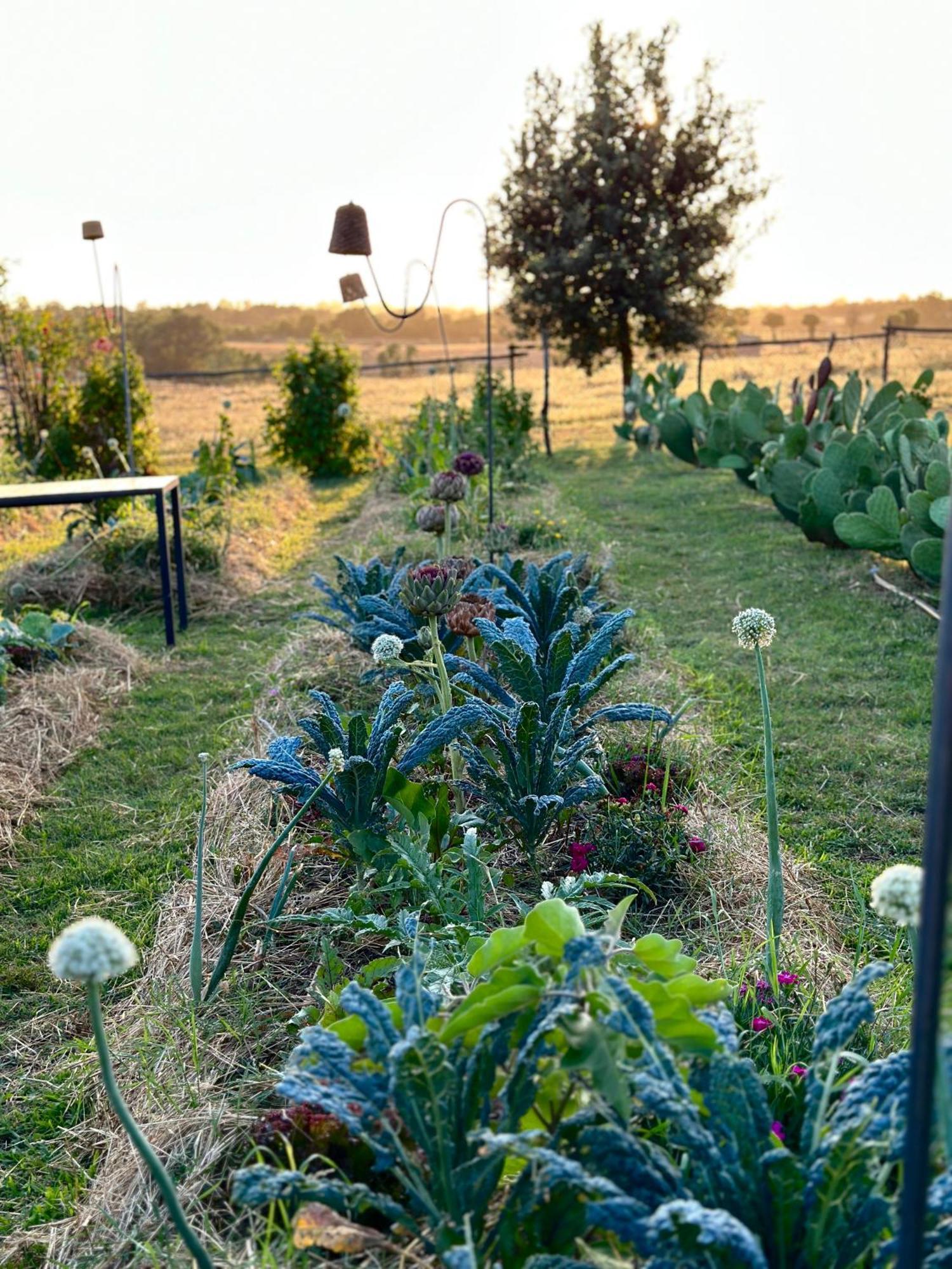Tenuta Di Paternostro 维特拉 外观 照片