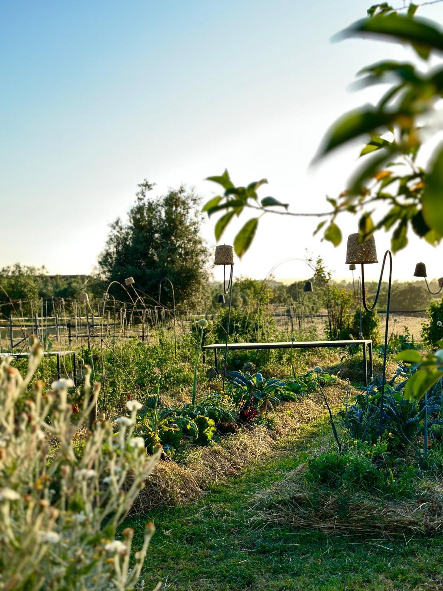 Tenuta Di Paternostro 维特拉 外观 照片