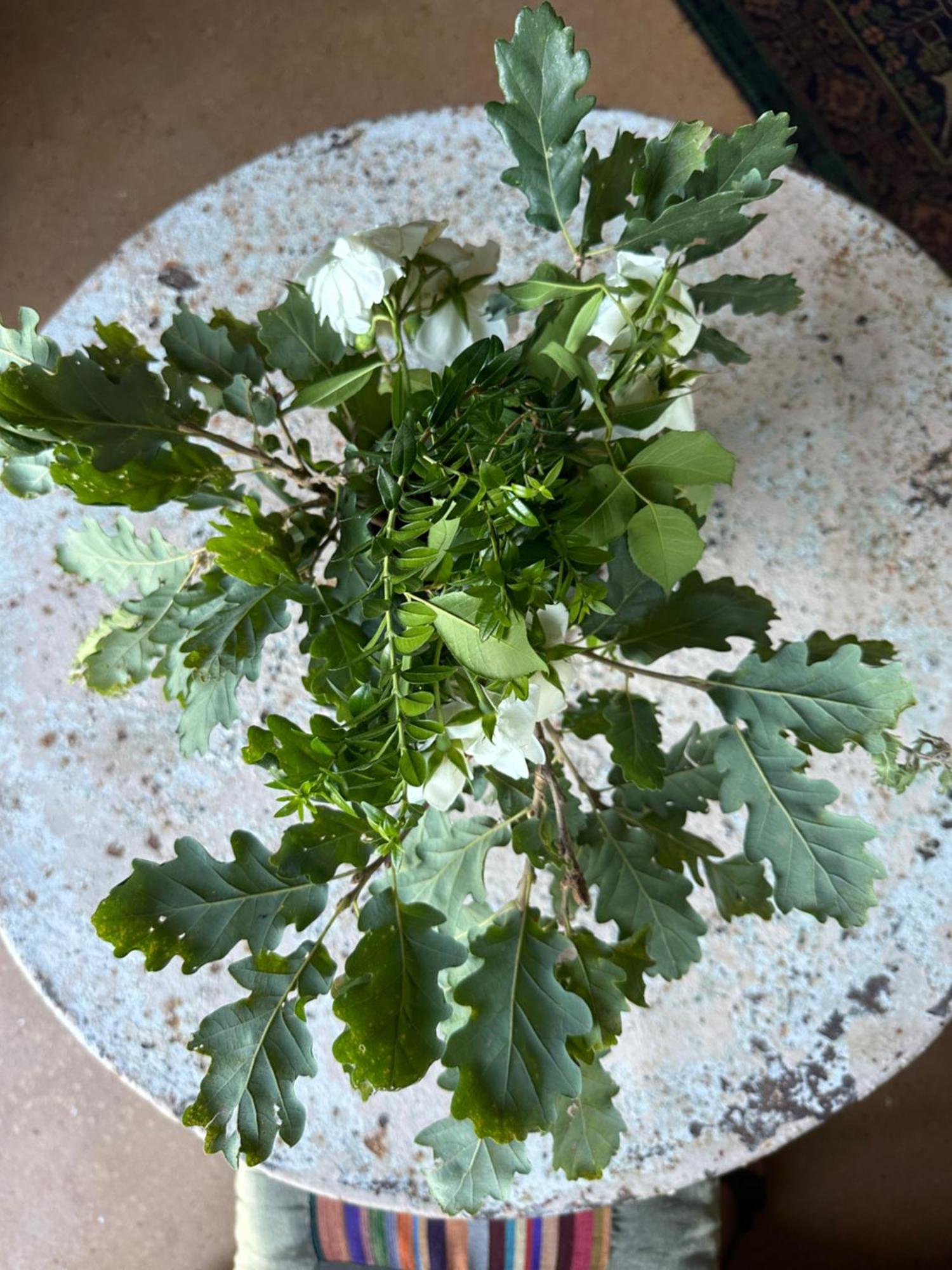 Tenuta Di Paternostro 维特拉 外观 照片