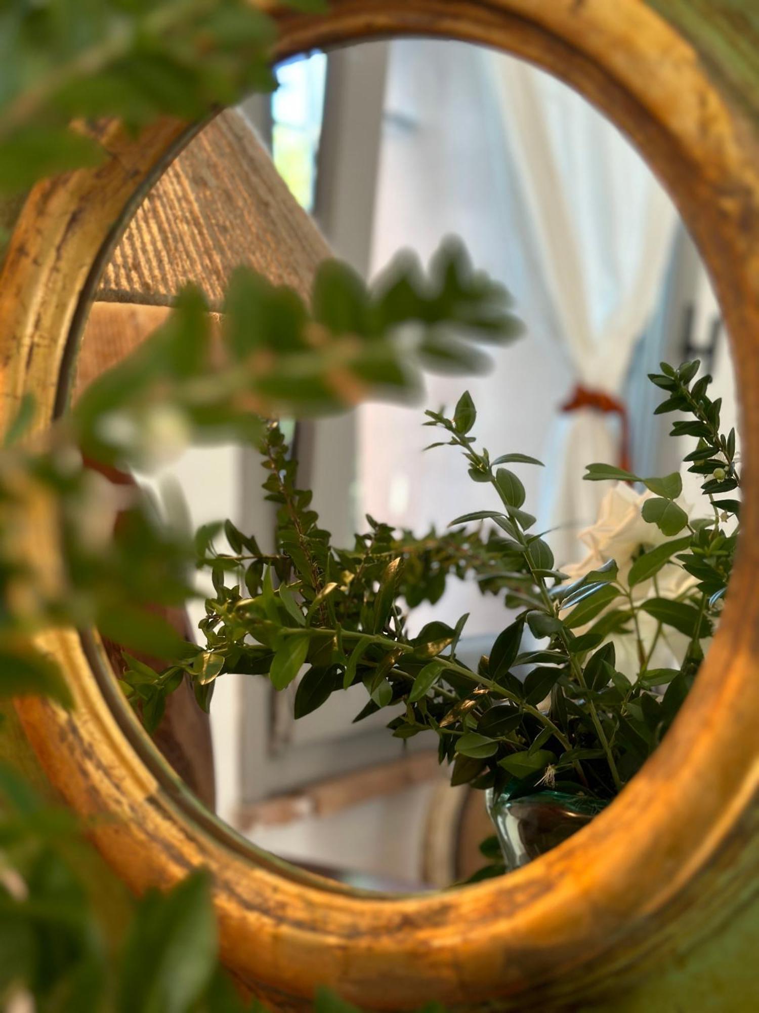 Tenuta Di Paternostro 维特拉 外观 照片