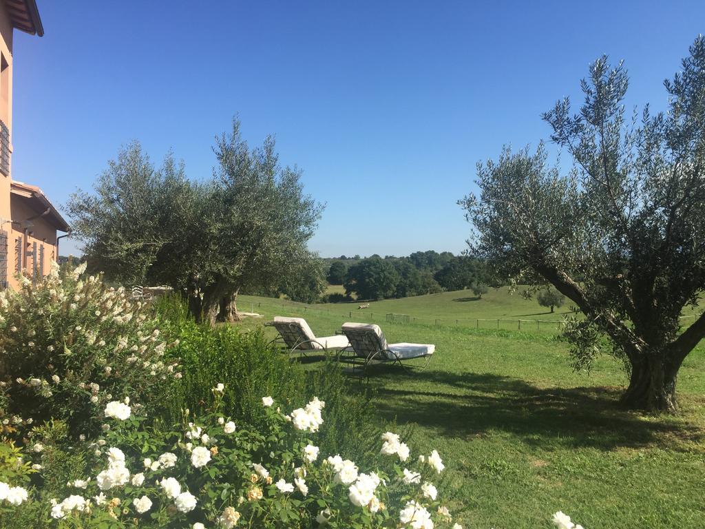 Tenuta Di Paternostro 维特拉 外观 照片