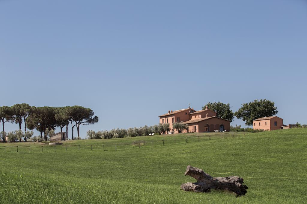 Tenuta Di Paternostro 维特拉 外观 照片